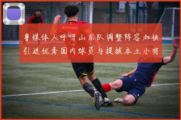 鲁媒体人呼吁山东队调整阵容加快引进优秀国内球员与提拔本土小将