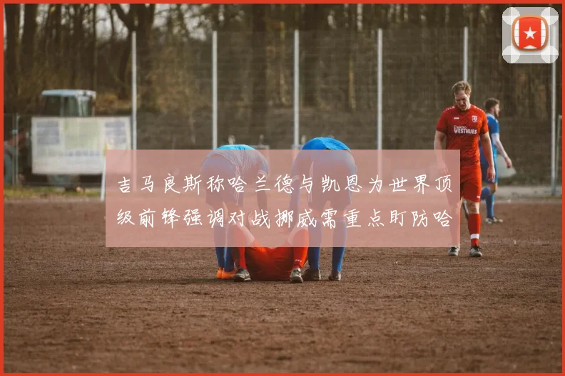 吉马良斯称哈兰德与凯恩为世界顶级前锋强调对战挪威需重点盯防哈兰德